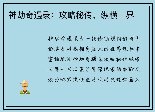 神劫奇遇录：攻略秘传，纵横三界